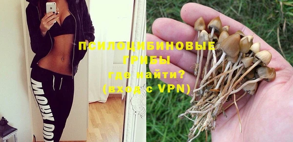гидра Нефтегорск